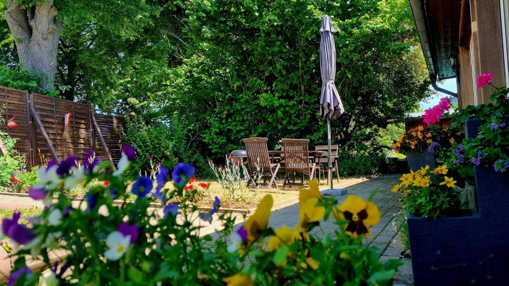 Lichtenhain  W5 - Urlaubsmagie - Wohnung Mit Grill, Terrasse & Pool מראה חיצוני תמונה